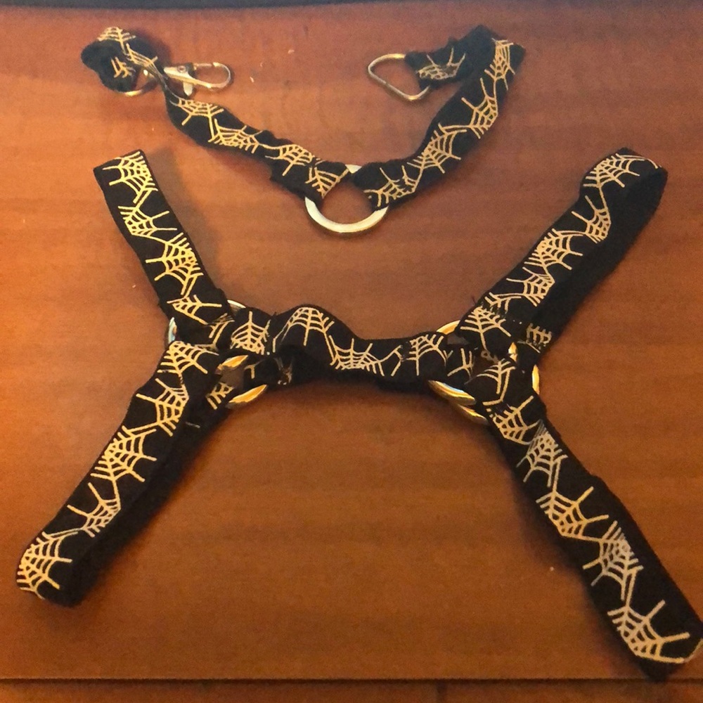 Matching spiderweb choker and garter